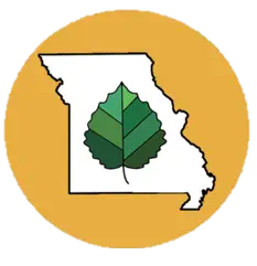Missouri Evergreen Discover logo