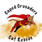 Caped Crusaders